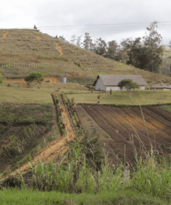 Alternative view of Brewer's Choice Single Origin - Gift Coffee Subscription