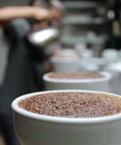 Seed to Cup - How Does Coffee Get Its Flavor?