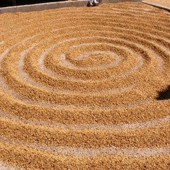 Decaf House Blend - Image 4