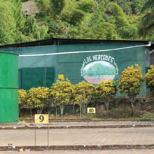 El Salvador Las Mercedes Pepinal 1 - Image 5