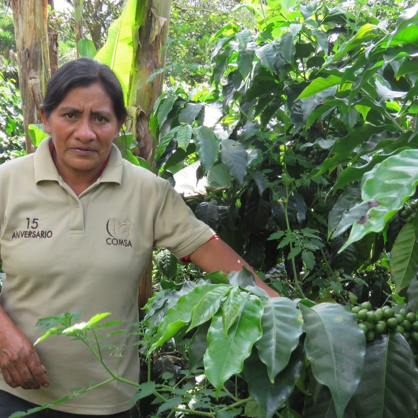 Organic Honduras Manos De Mujer Fair Trade - Image 5