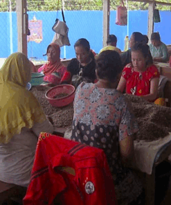 Alternative view of Organic Sumatra Rahmat Kinara Mandheling Fair Trade Grade 1